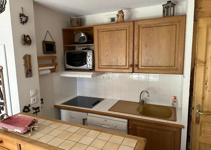 Le Genepi Apartment *